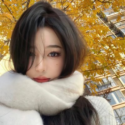 爱是一只猫