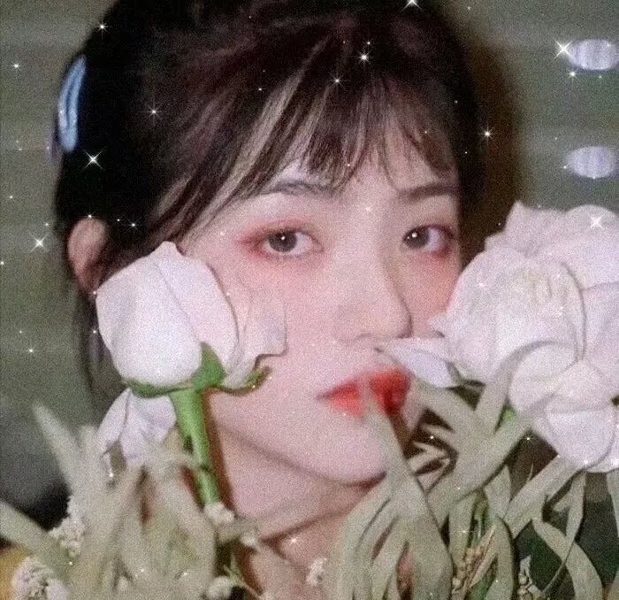 曲点鸳鸯谱
